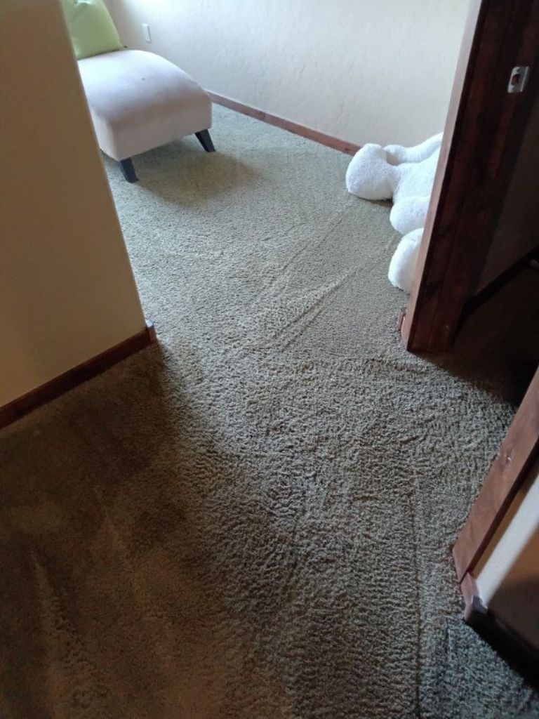 Carpet cleaning